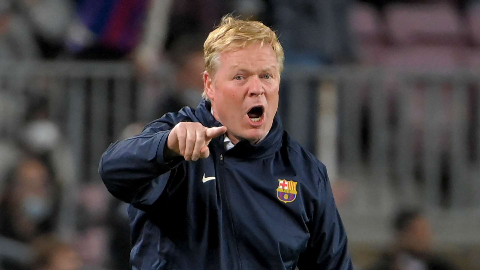 迷的关注 迷的关注