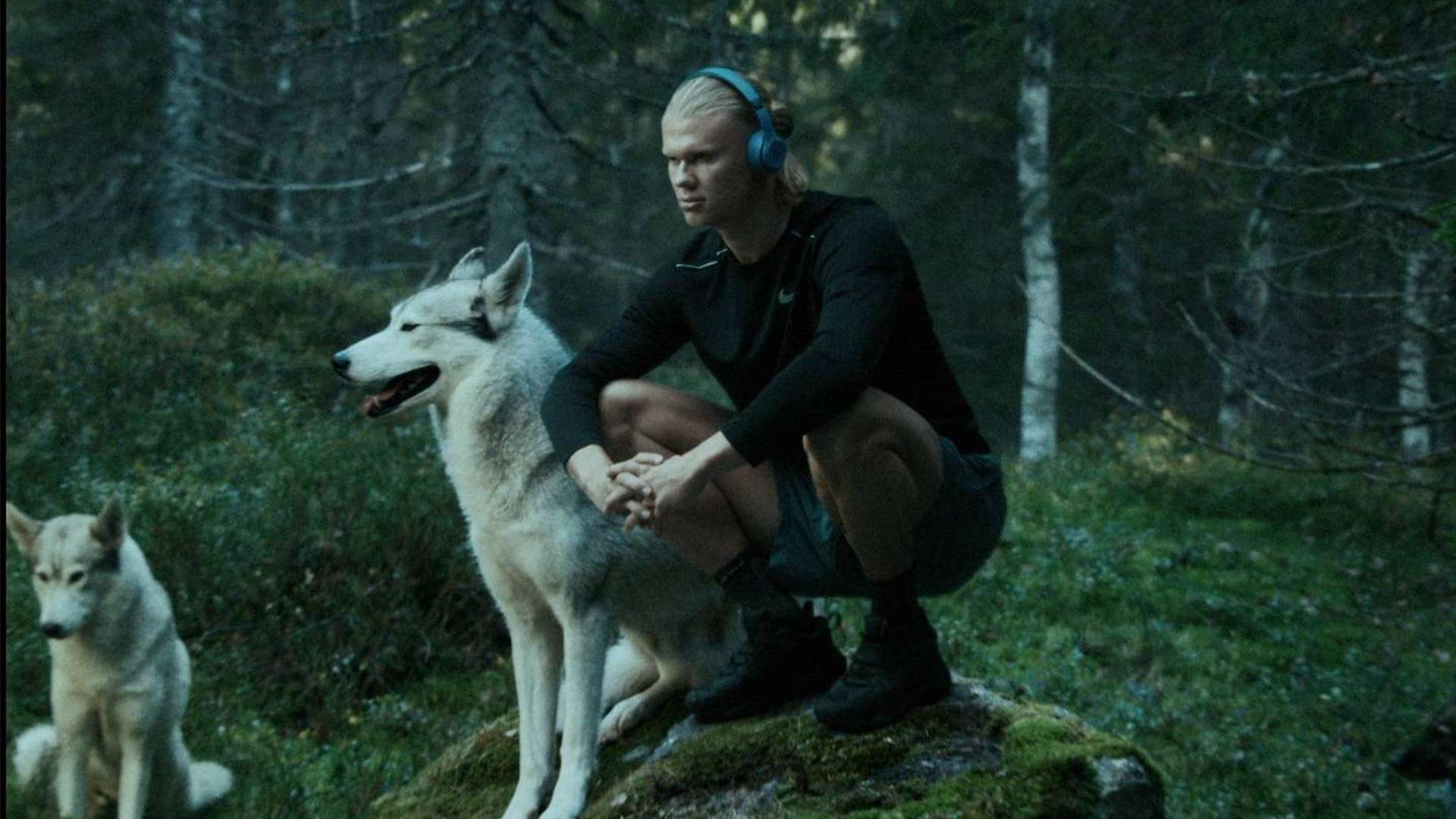 她逐渐向国 她逐渐向国