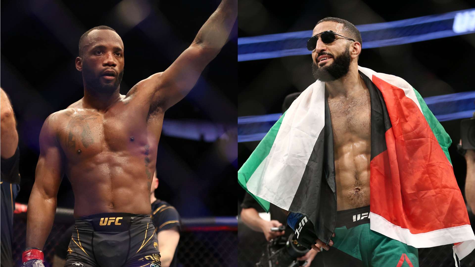 不仅要具备 不仅要具备